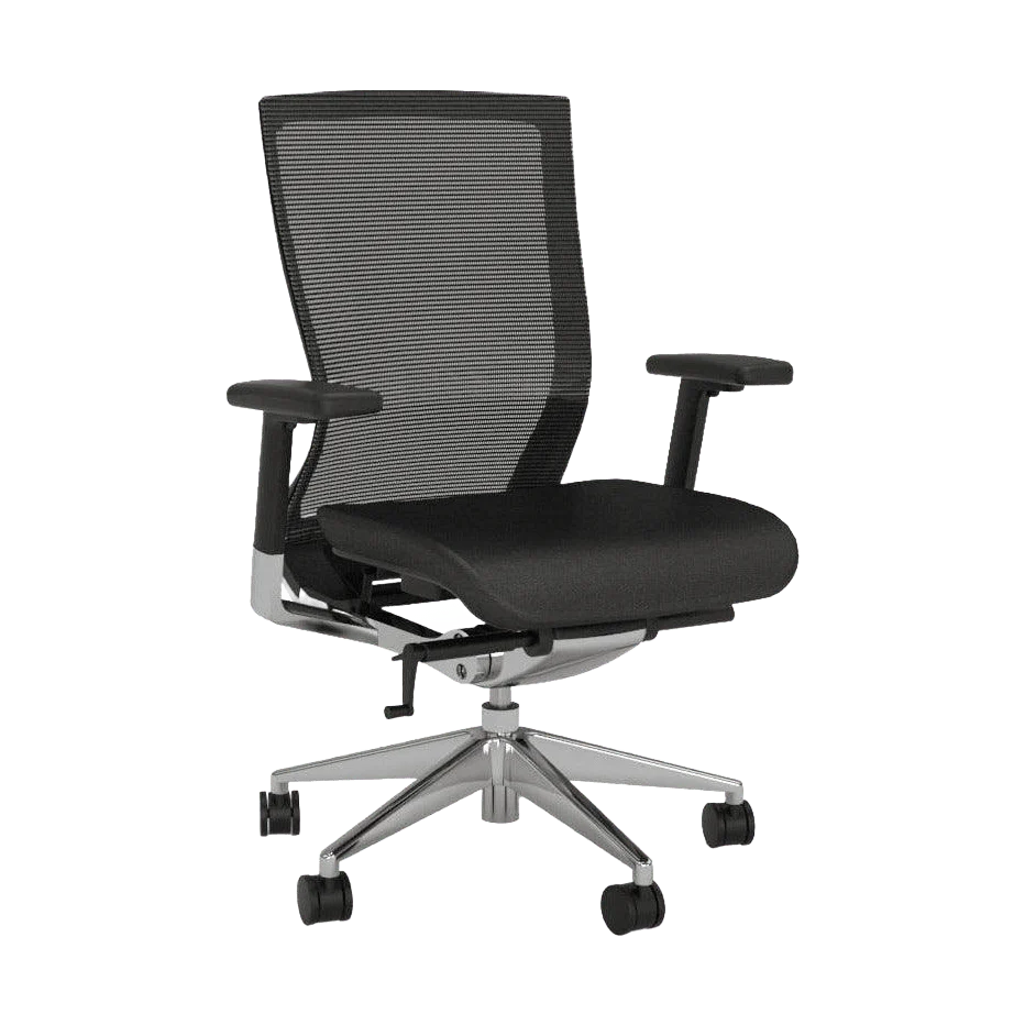 Balance Executive Office Chair with Optional Lumbar Support - Image 4